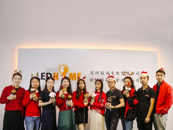LEDHOME team spends Christmas together