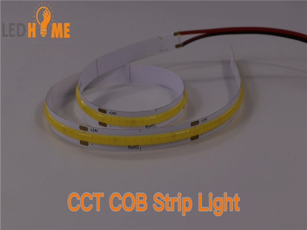 COB CCT Strip Light